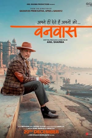 Vanvaas (2024) Hindi (DD5.1) WEB-DL | Hindi Dubbed Movie